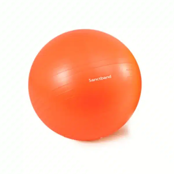 Pelota Bobath 55 cm