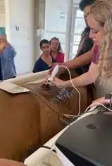 Rehabilitación veterinaria